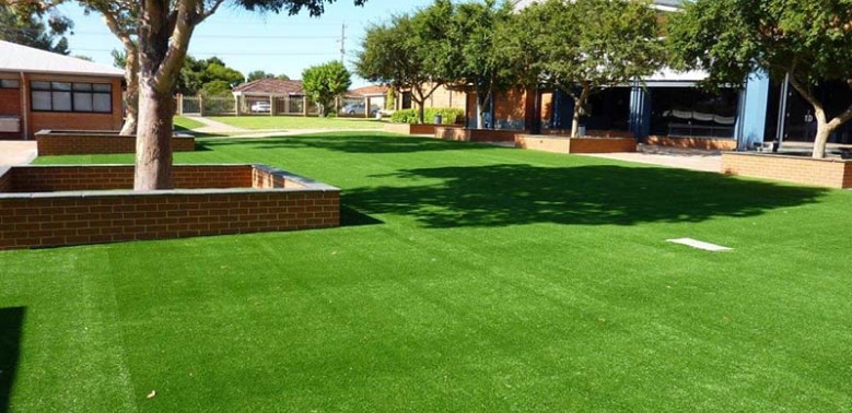 The Truth About Lawn Clippings: To Collect or Not to Collect?