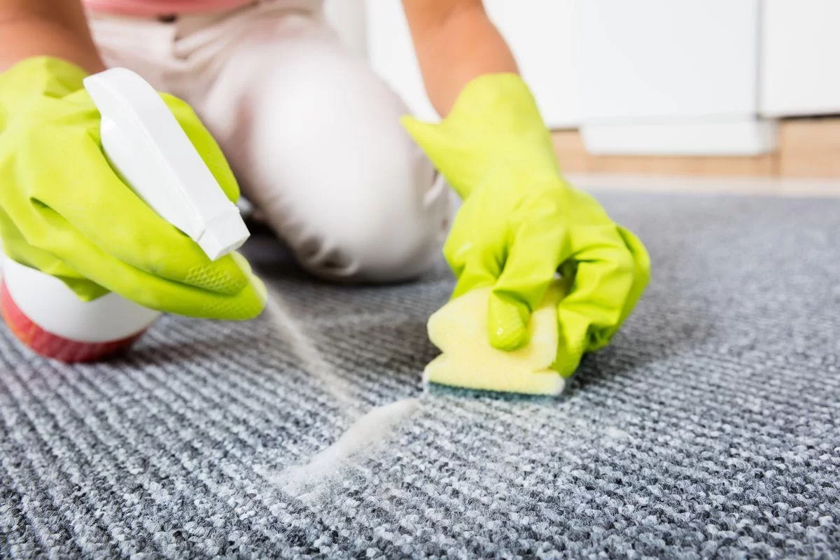 Affordable Carpet Cleaning in Nottingham – Restore Your Carpets Today!